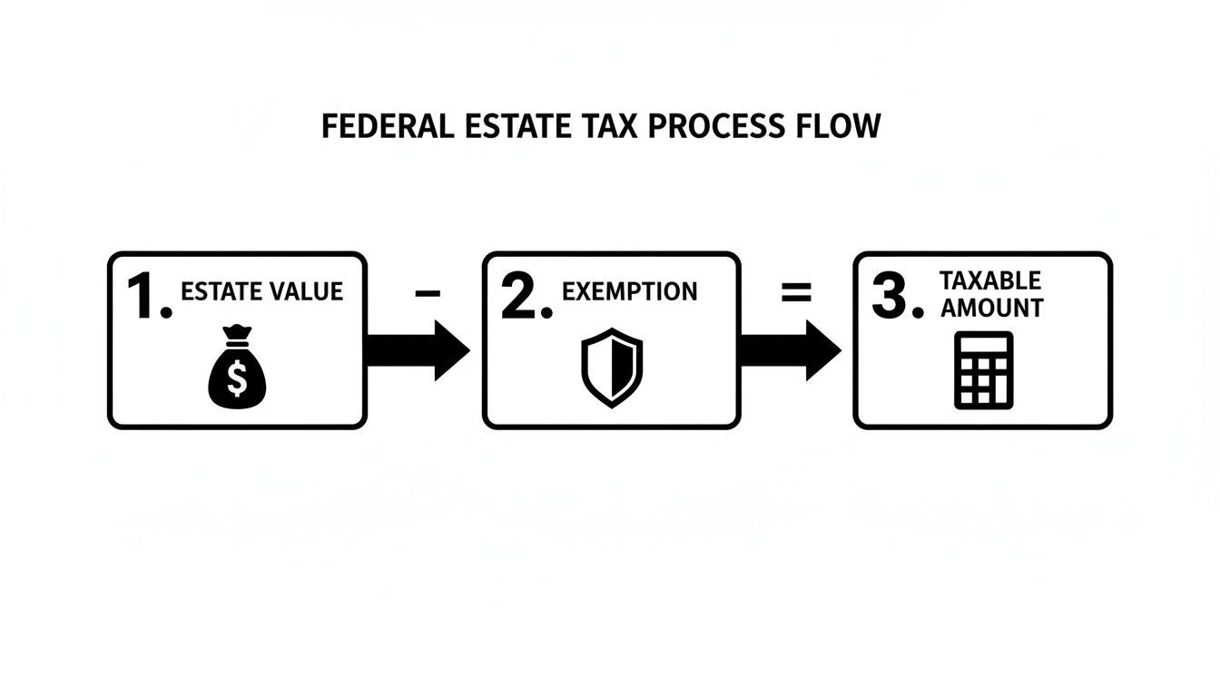 Flowchart illustrating the Federal Estate Tax process: Estate Value minus Exemption equals Taxable Amount.