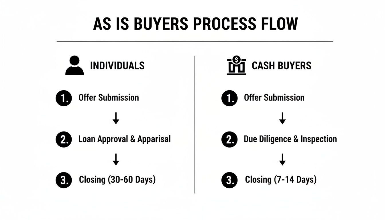 A process flow diagram comparing steps for individuals and cash buyers in an 'as is' real estate transaction.